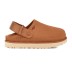 Женские сандалии Ugg Goldenstar Clog Chestnut