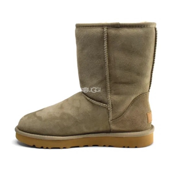 Женские короткие угги Ugg Classic Short Beige