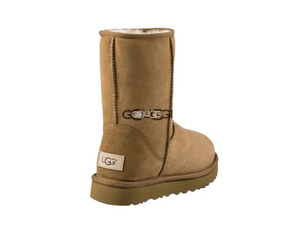 Женские короткие угги Classic Short Chestnut II